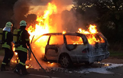 Ein grün blaues Wappen mit Schriftzug SG Hohenfelde