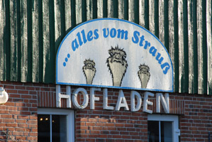 Ein grün blaues Wappen mit Schriftzug SG Hohenfelde