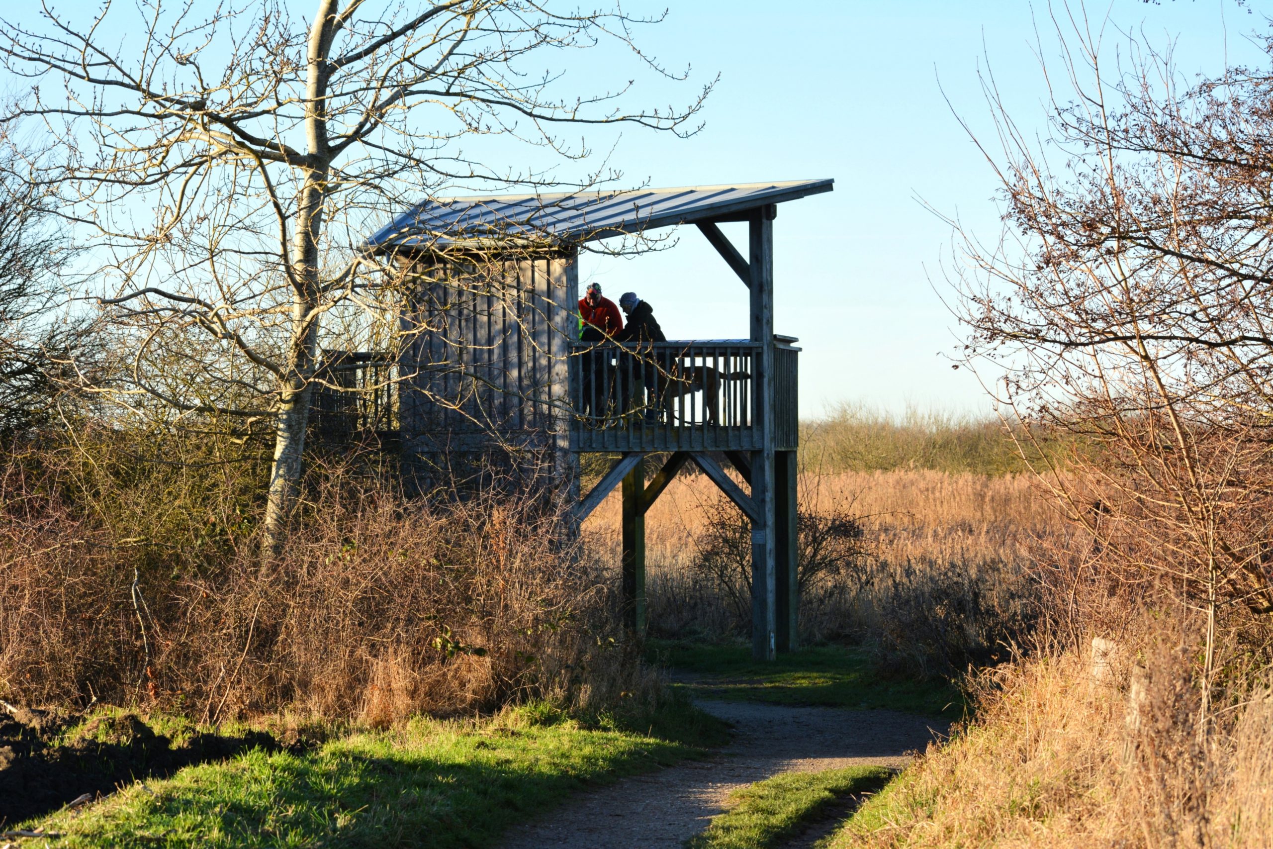 Ein grün blaues Wappen mit Schriftzug SG Hohenfelde